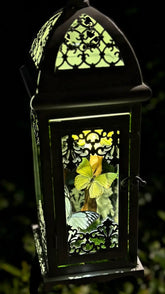 Butterfly Lantern Night Light – Handmade Specimen Lamp with Vintage Design